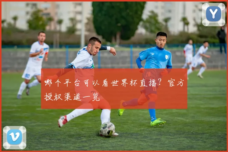 哪个平台可以看世界杯直播？官方授权渠道一览